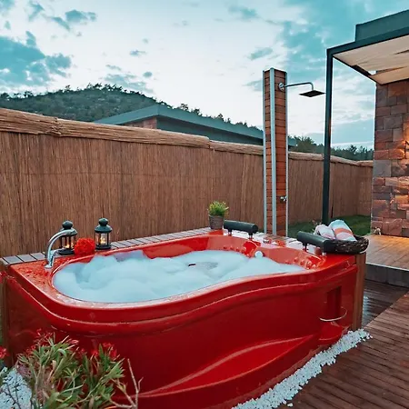Oludeniz/hisaronunde Ozel Havuzlu 103 Villa